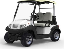 Aluminum Chassis 2 Seat Electric Golf Cart (EG202AK01)